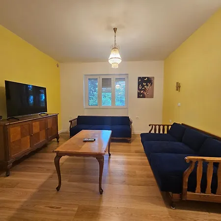 Nina نوفي فينودولسكي