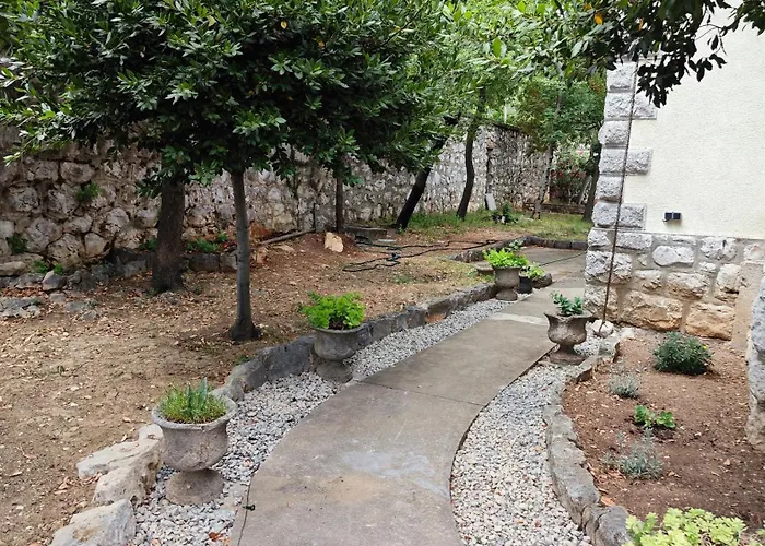 Nina نوفي فينودولسكي