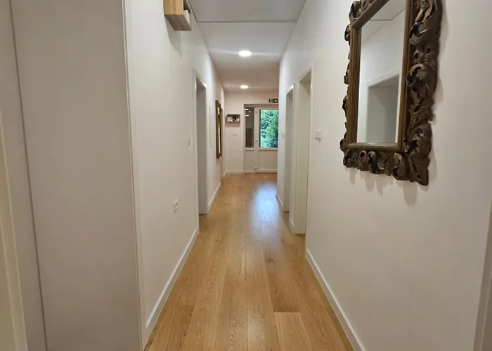 Nina نوفي فينودولسكي