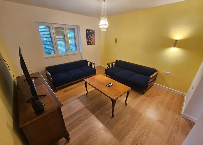 Nina نوفي فينودولسكي