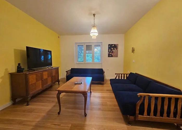 Nina نوفي فينودولسكي