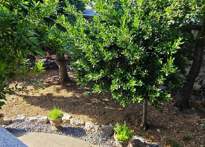 Nina Apartament Novi Vinodolski