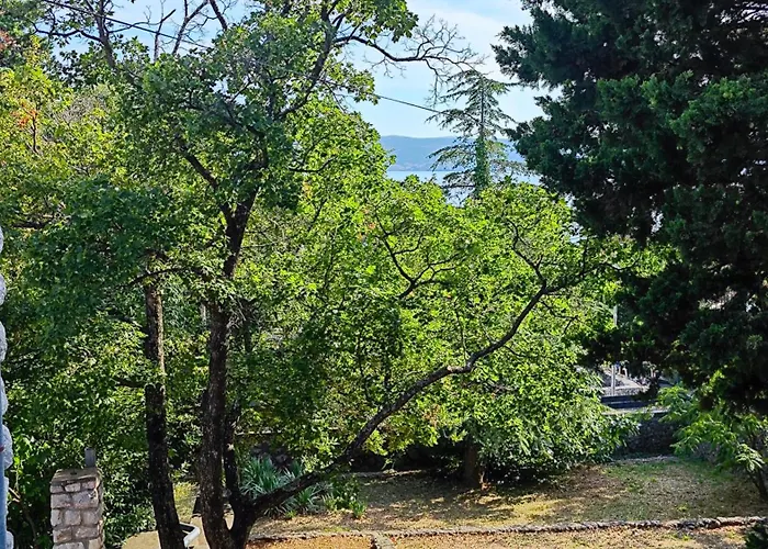 Nina * نوفي فينودولسكي