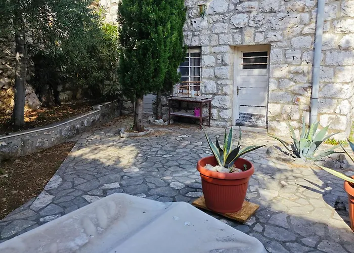 Nina * نوفي فينودولسكي